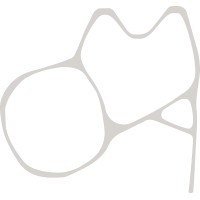 BEDALE OPCO LTD