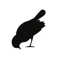 BIRD ON THE WIRE EVENTS LIMITED