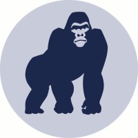 Bluekong Networks Limited