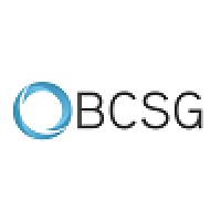 BUSINESS CENTRIC SERVICES GROUP LIMITED
