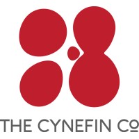 COGNITIVE-EDGE LTD