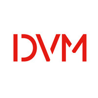 DVM GLOBAL LTD