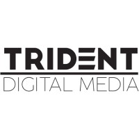 TRIDENT DIGITAL MEDIA LIMITED