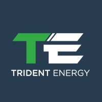 TRIDENT ENERGY MANAGEMENT LIMITED