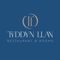 TYDDYN LLAN LIMITED