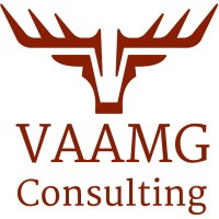 VAAMG Consulting Limited