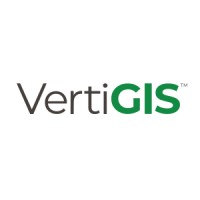 VERTIGIS LTD