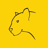 Yellow Panther Digital Ltd