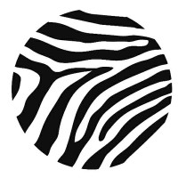 ZEBRA ARCHITECTS LIMITED
